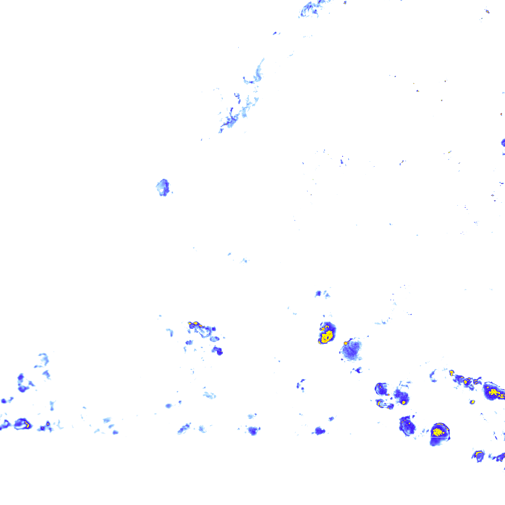 rainLayer