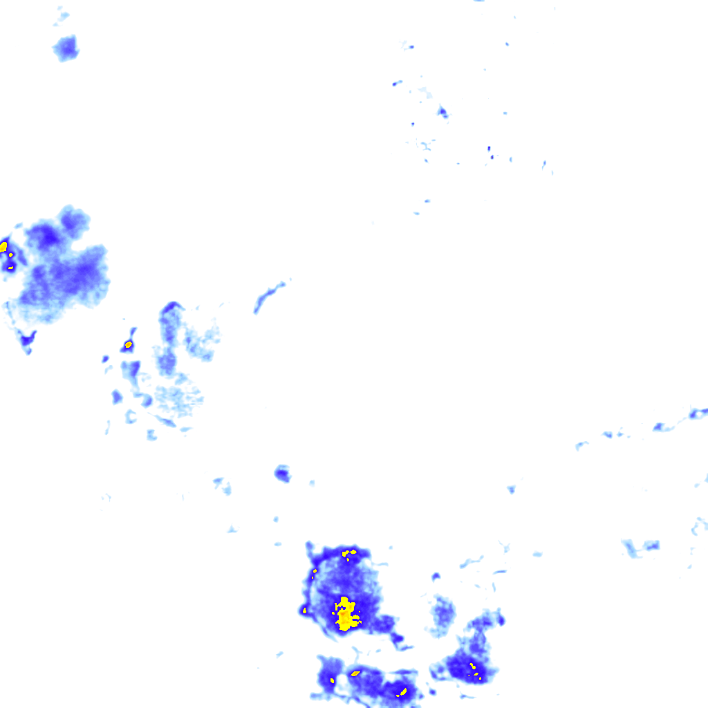 rainLayer