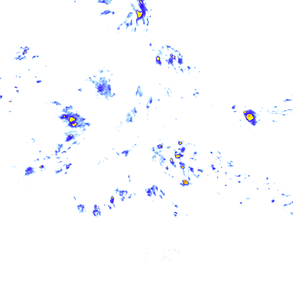 rainLayer