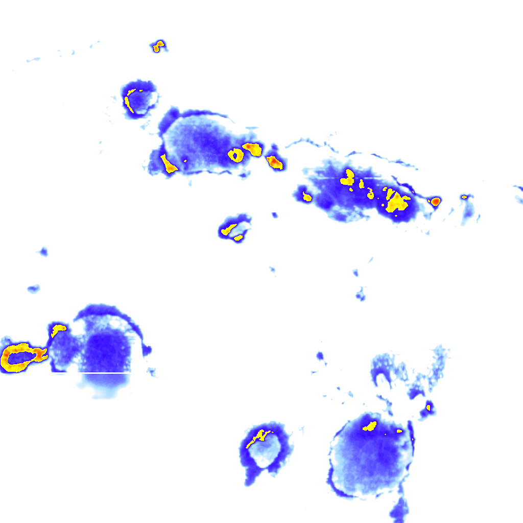 Image Layer