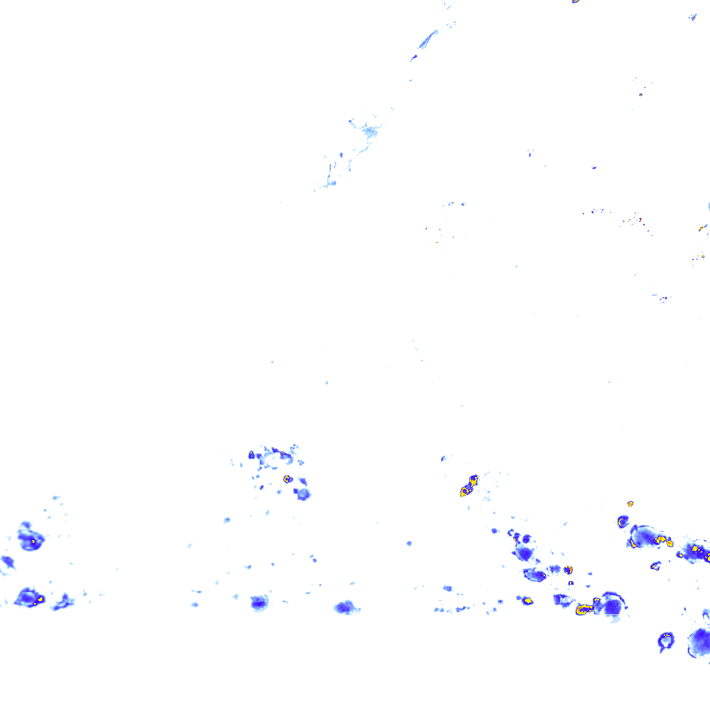rainLayer