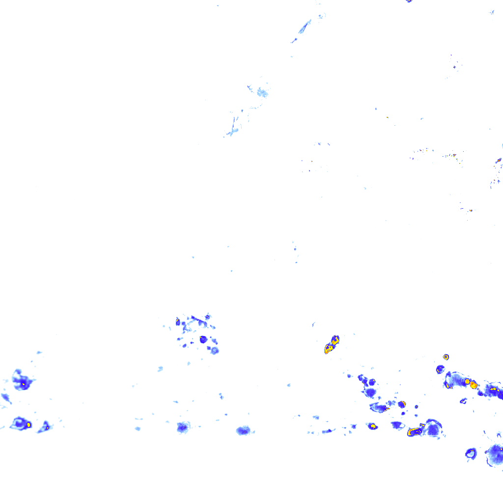 rainLayer