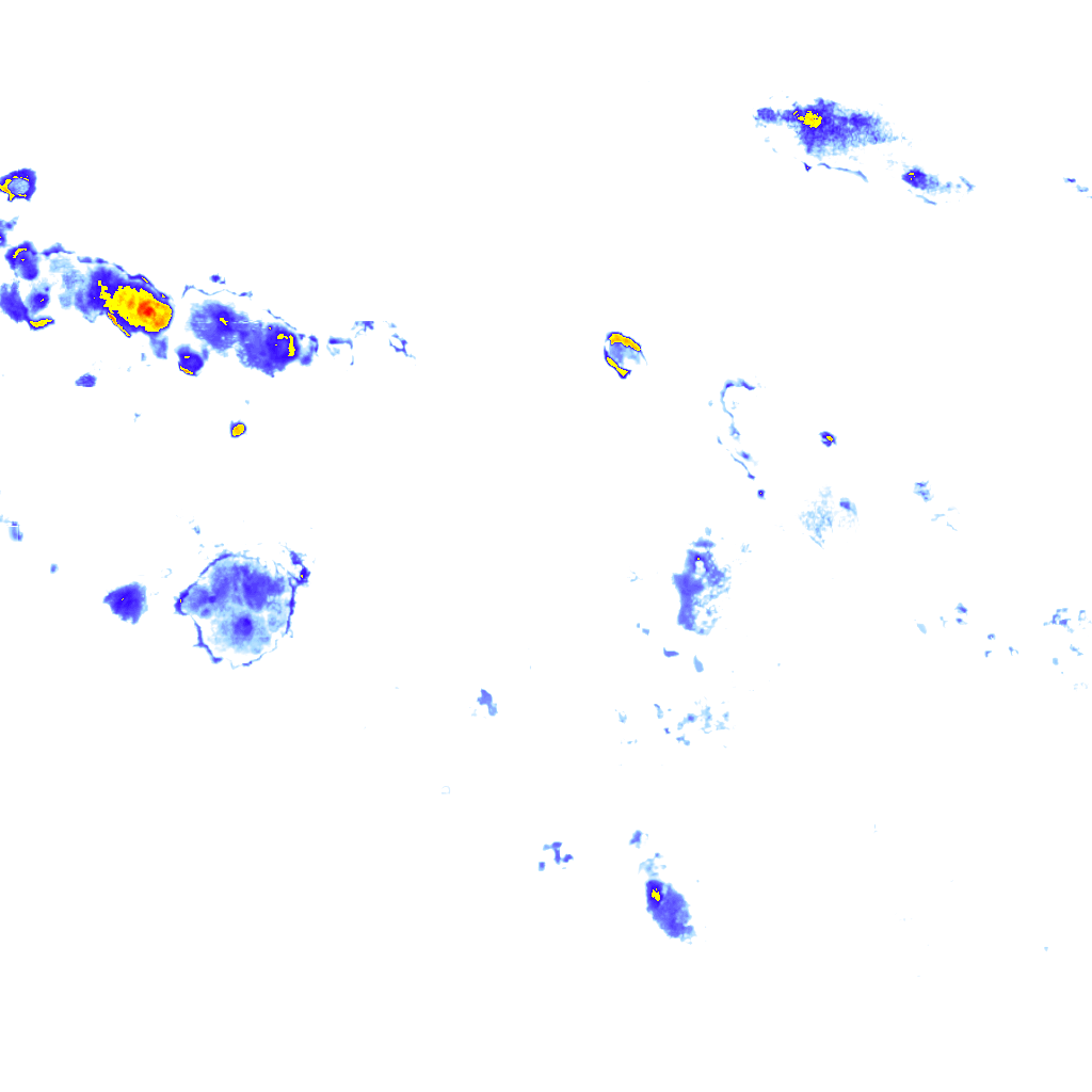 rainLayer
