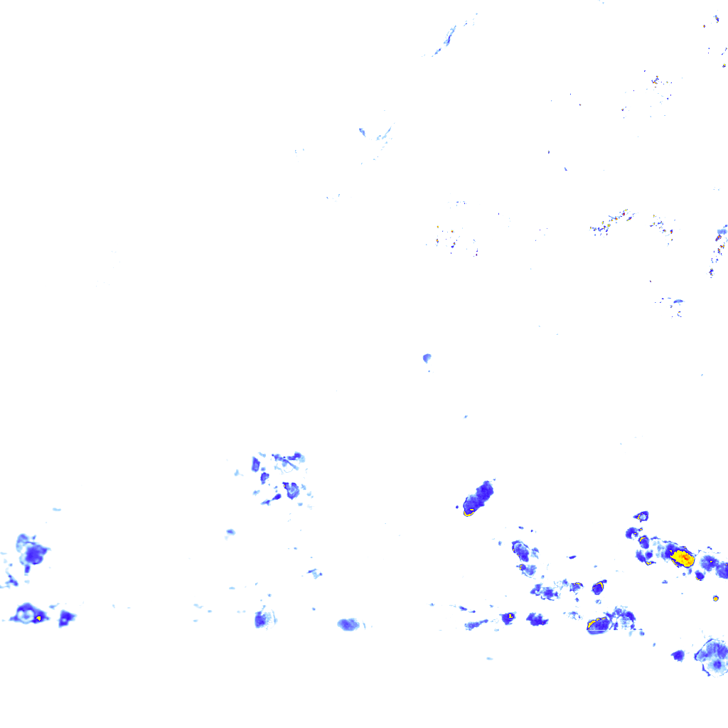 rainLayer