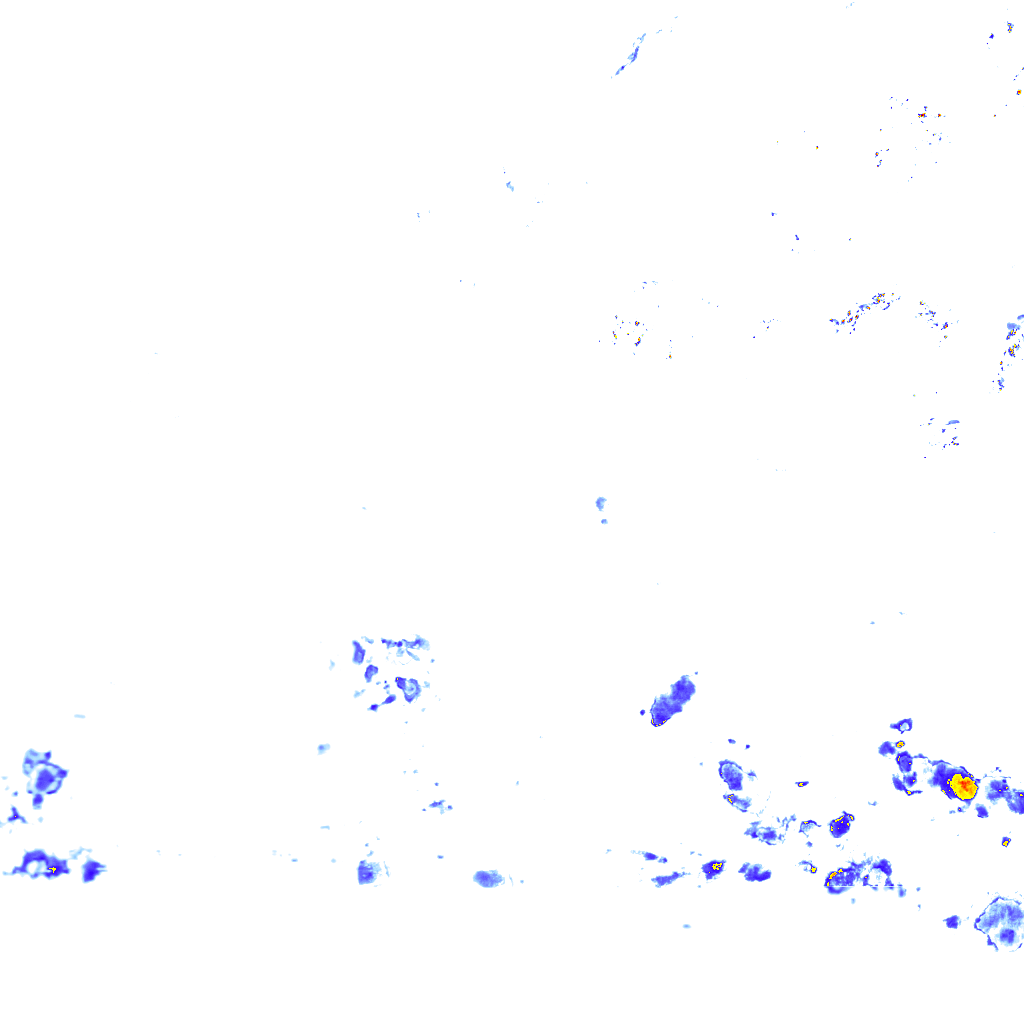 rainLayer
