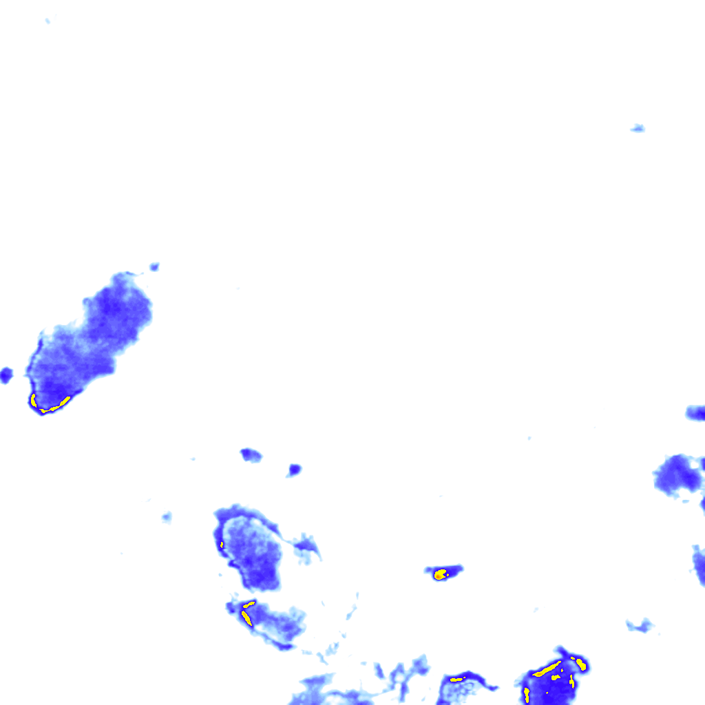 rainLayer