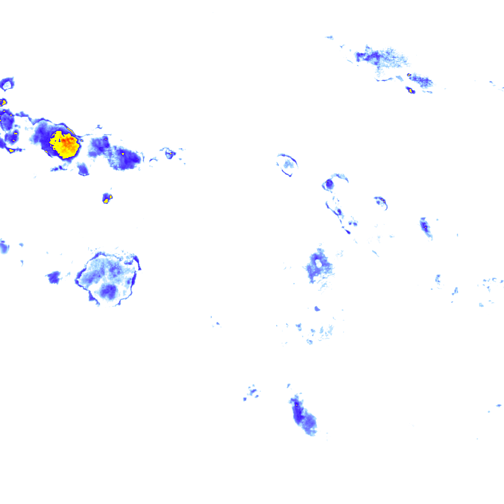 rainLayer