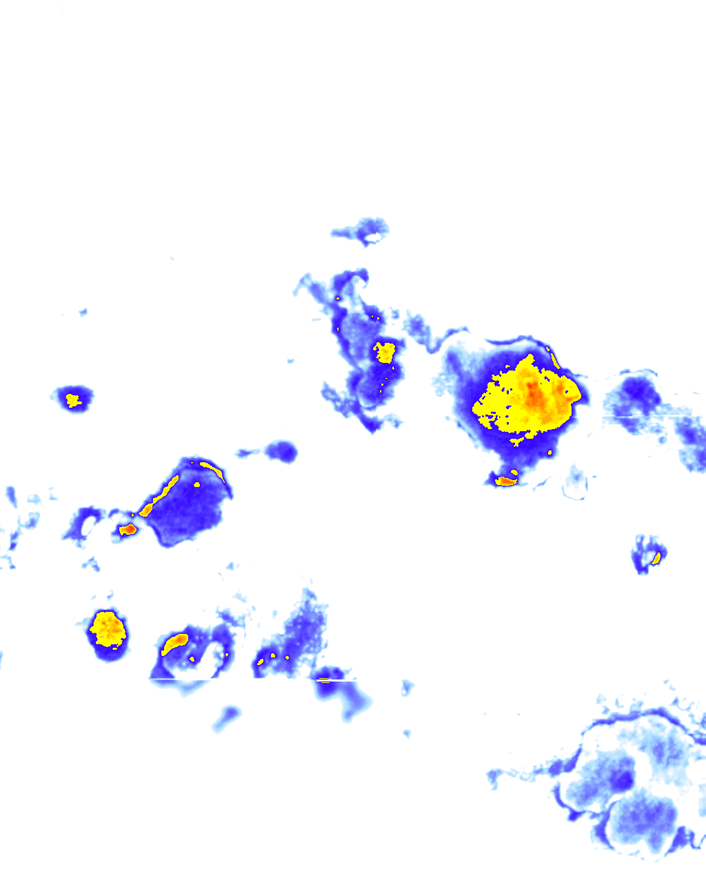 rainLayer