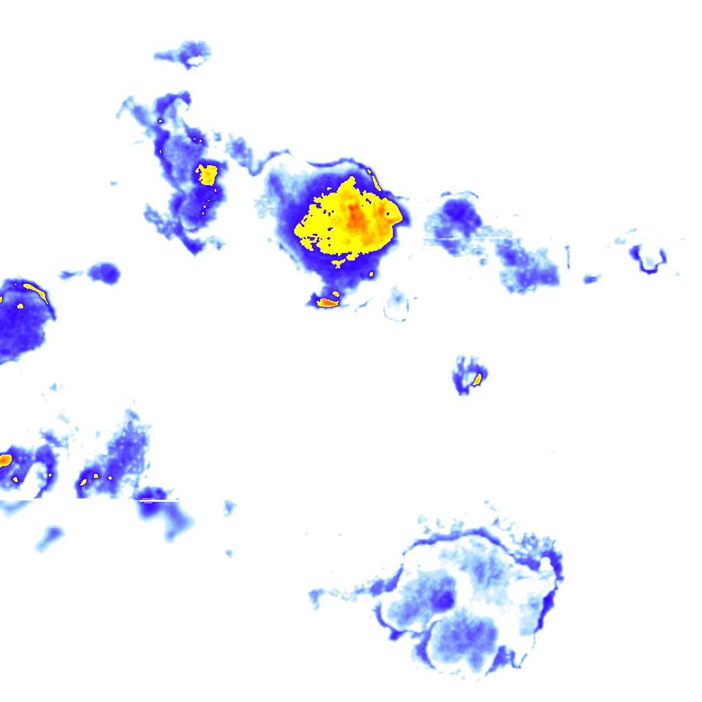 rainLayer
