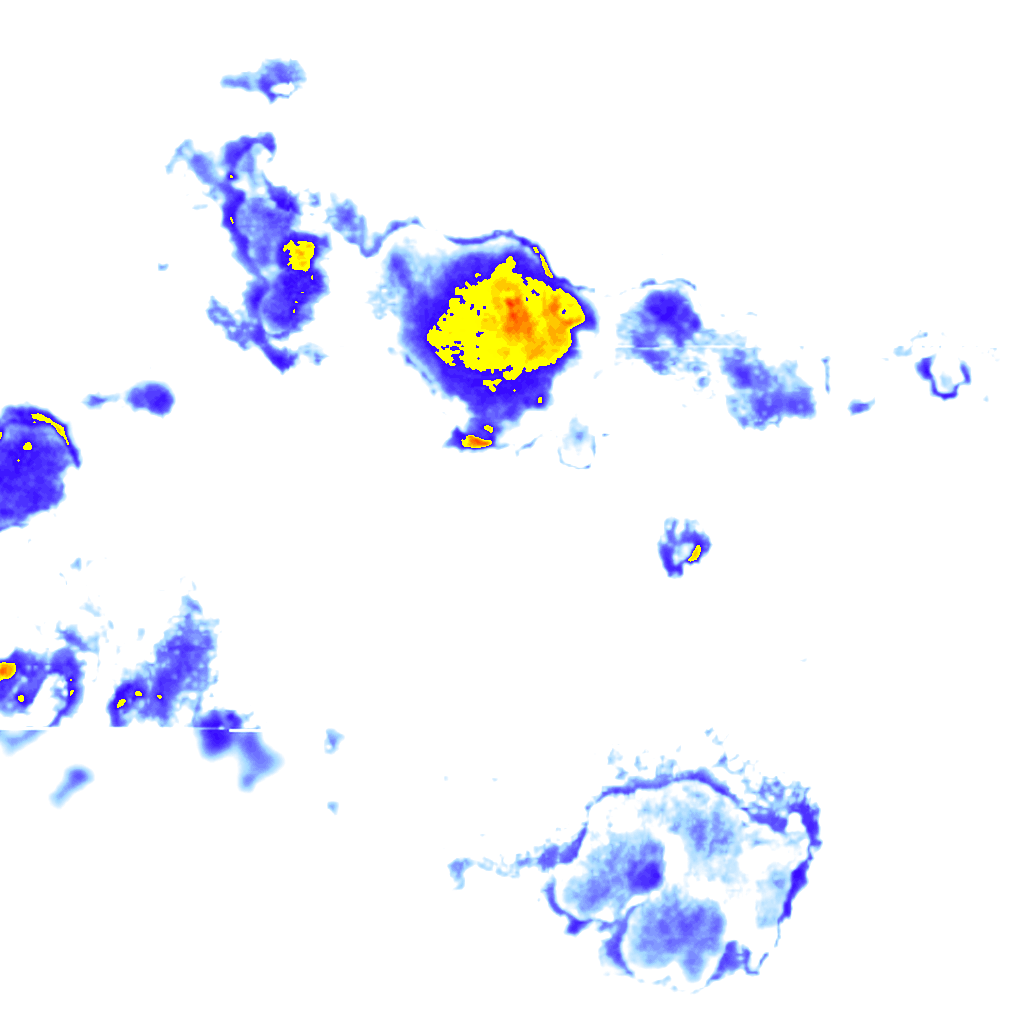 Image Layer