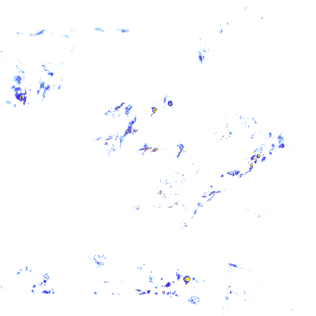rainLayer