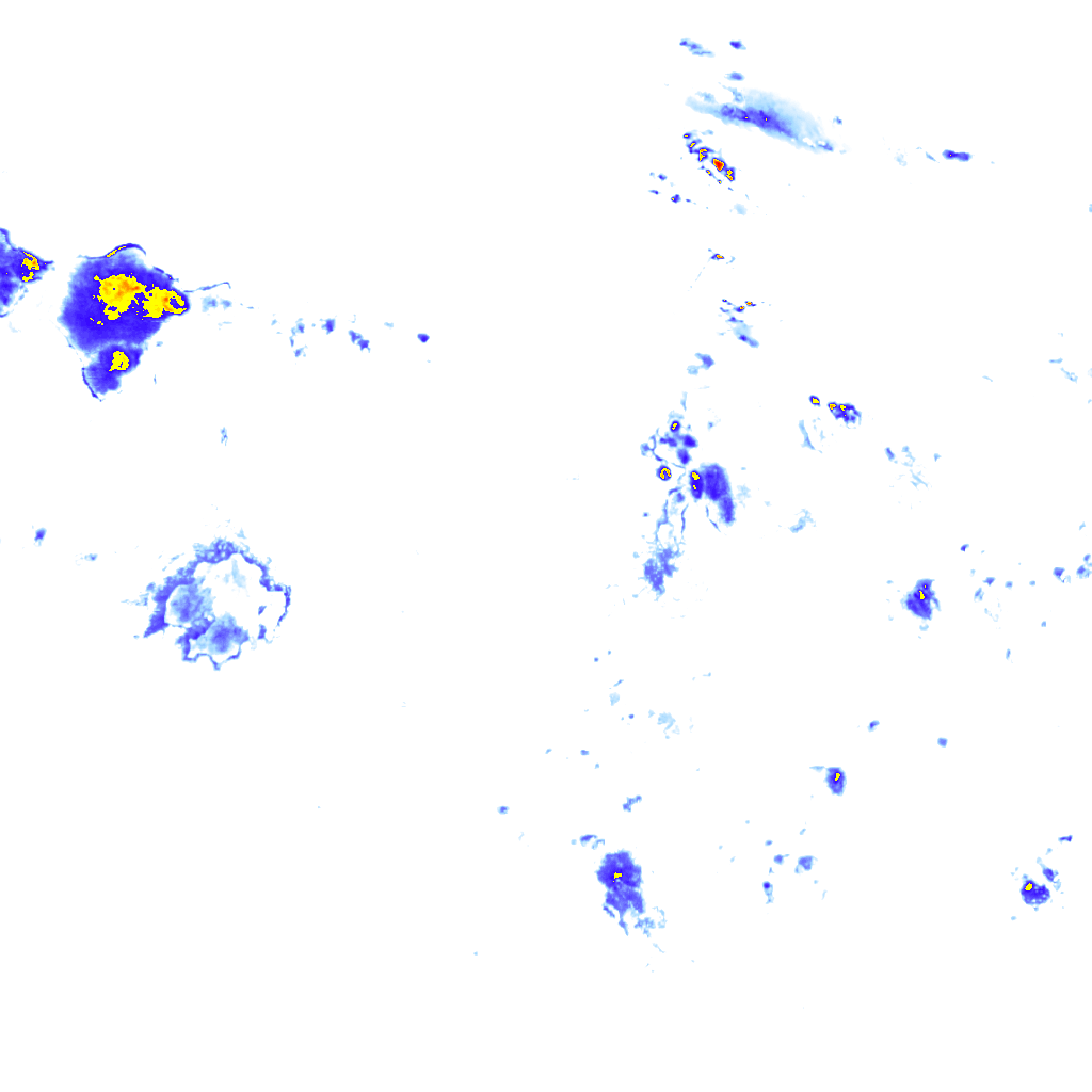 rainLayer