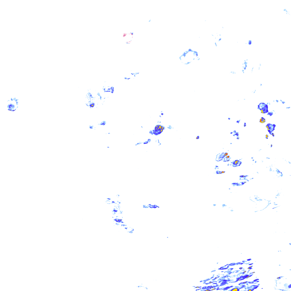 rainLayer