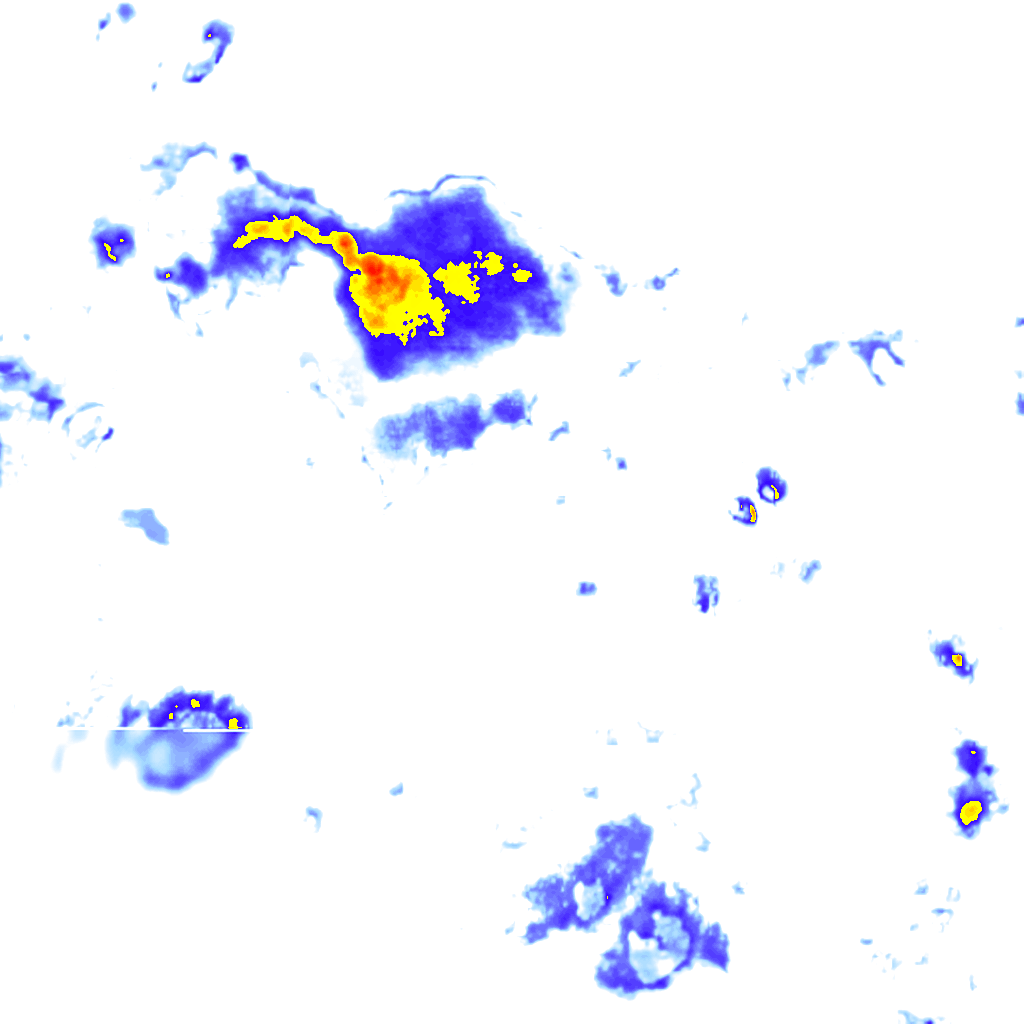 rainLayer