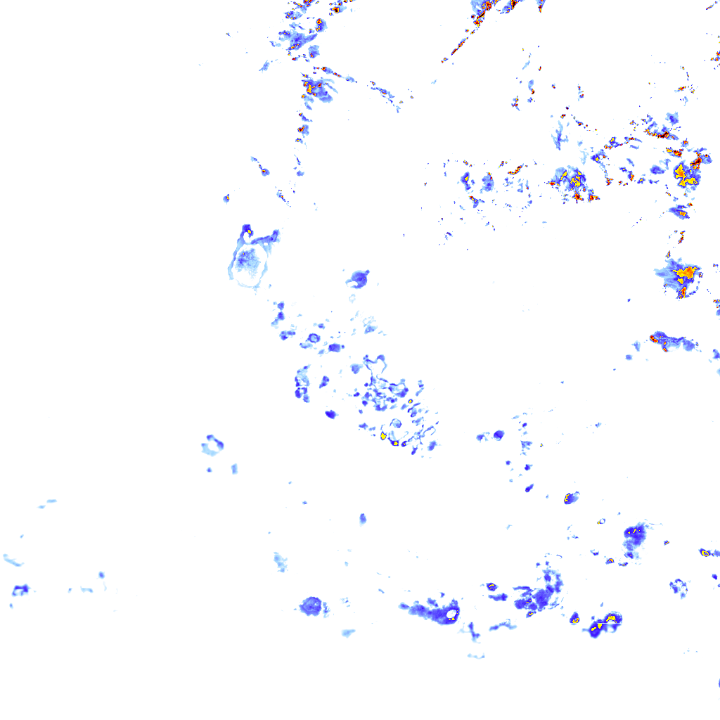 rainLayer