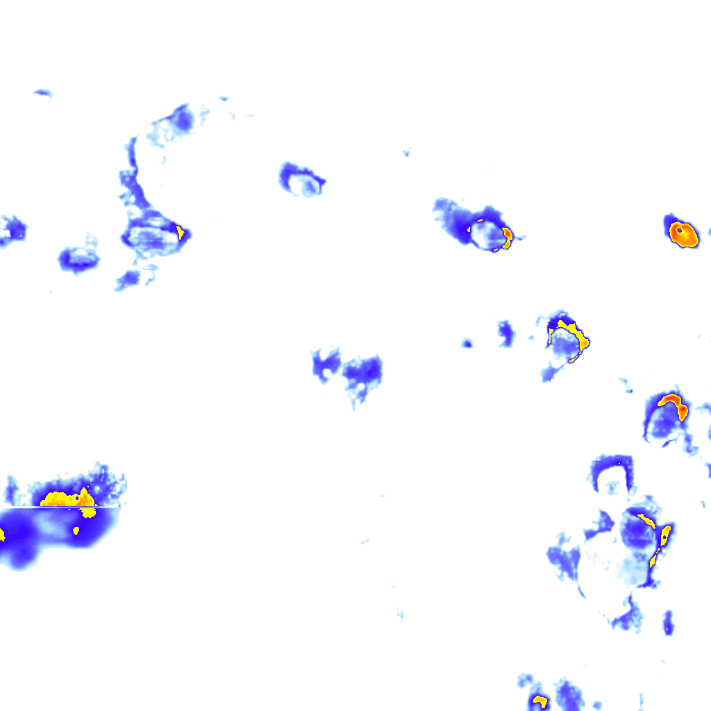 Image Layer