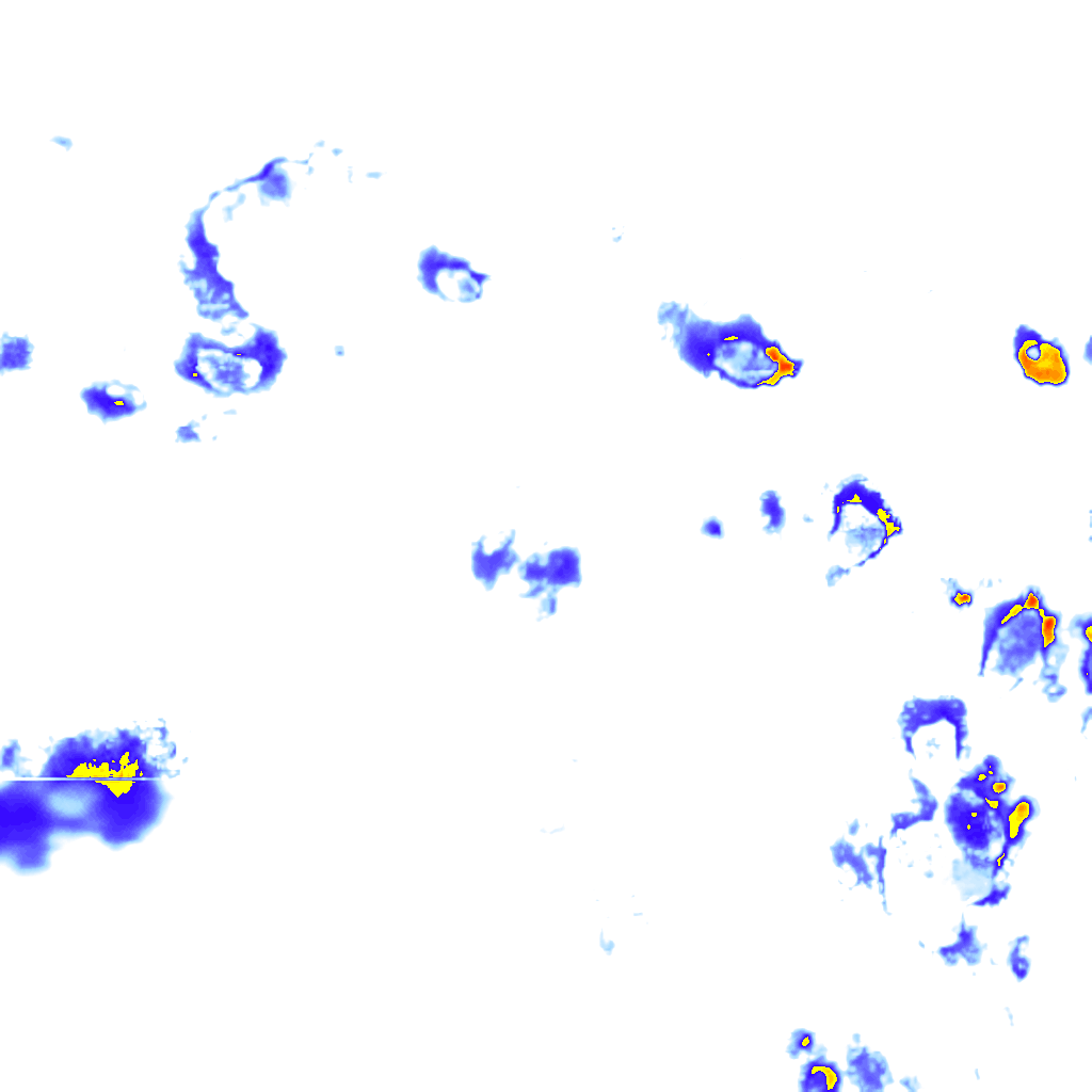 rainLayer