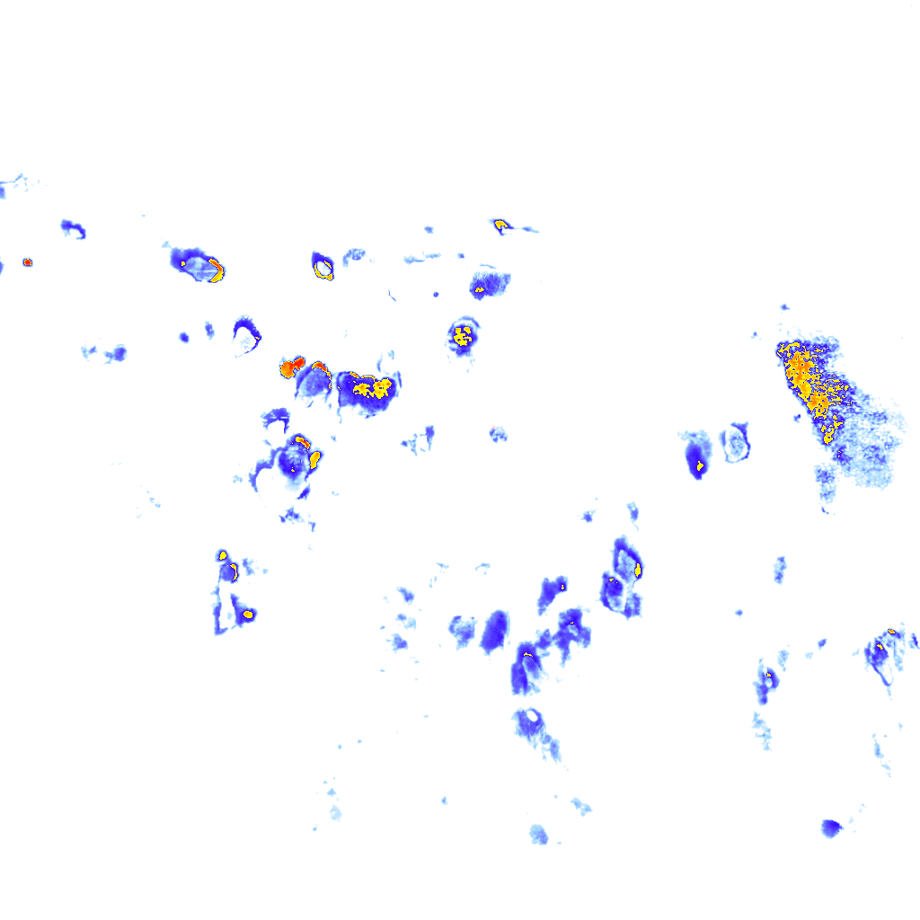 Image Layer