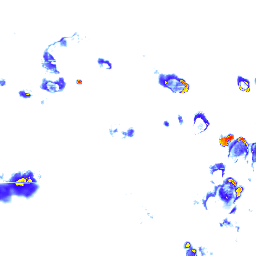 Image Layer