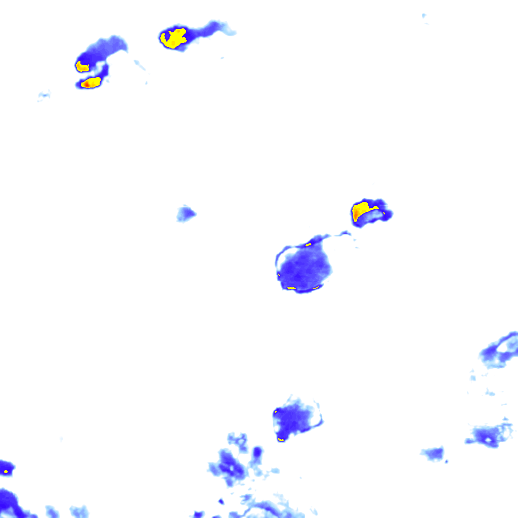 rainLayer