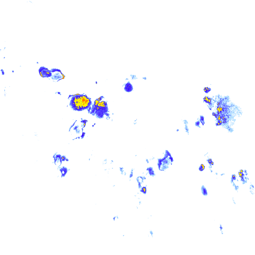 rainLayer