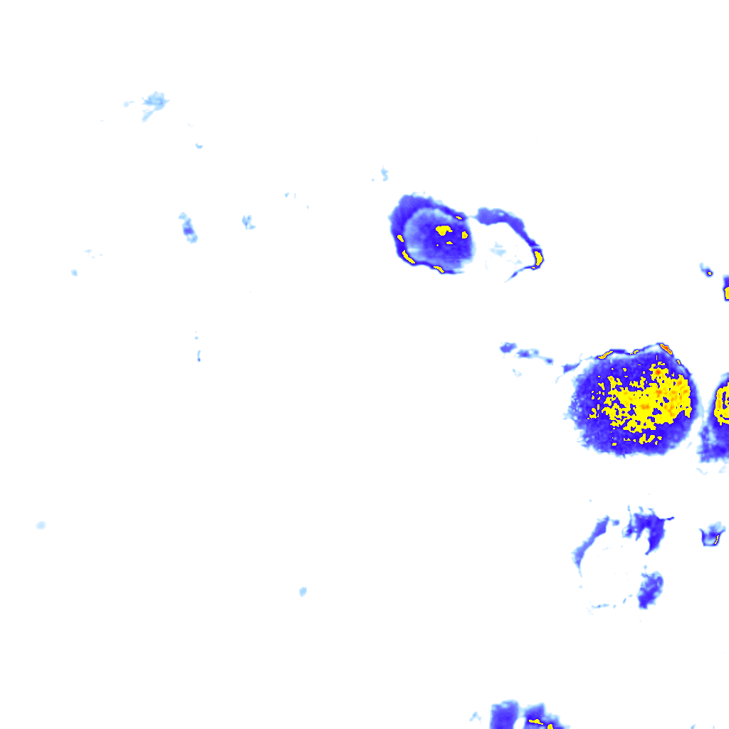 rainLayer