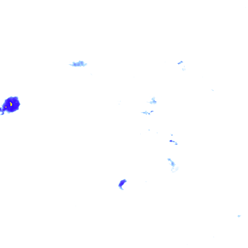rainLayer