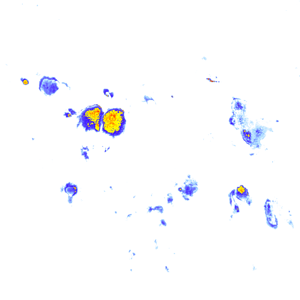 rainLayer