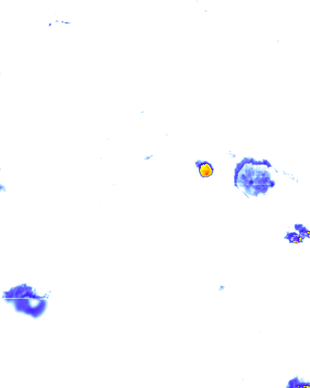 rainLayer
