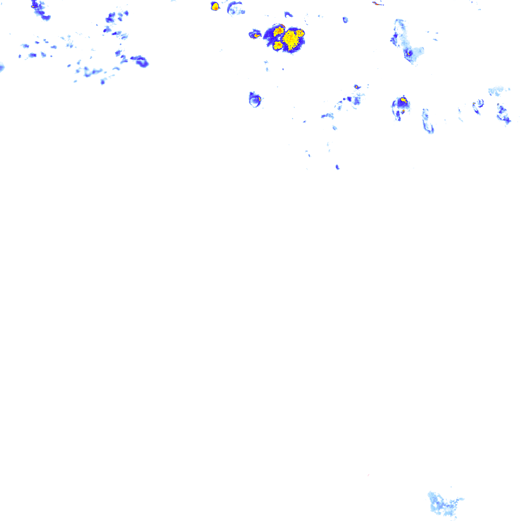 rainLayer