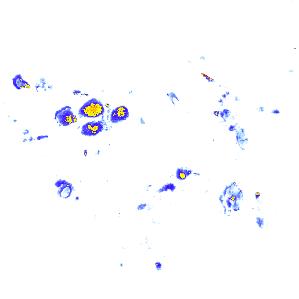 Image Layer