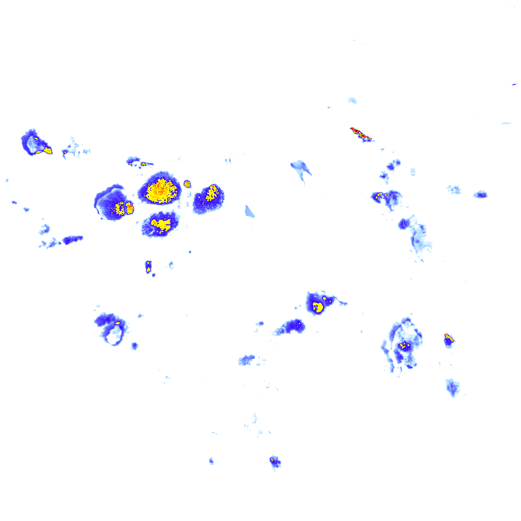 Image Layer
