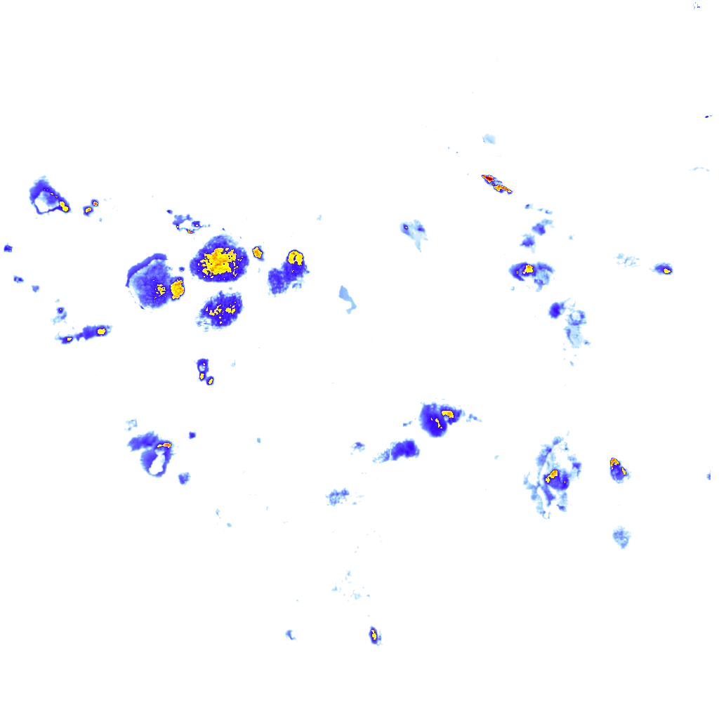 Image Layer