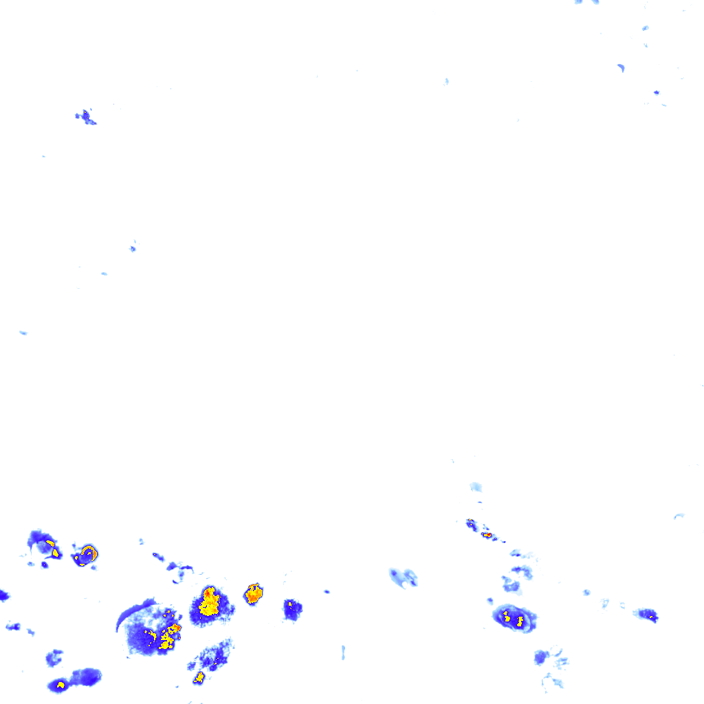 rainLayer