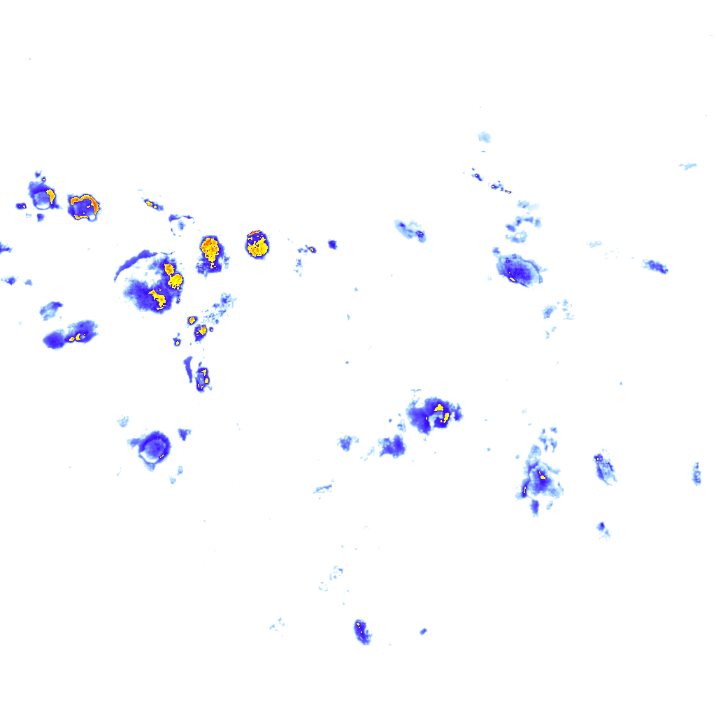 Image Layer