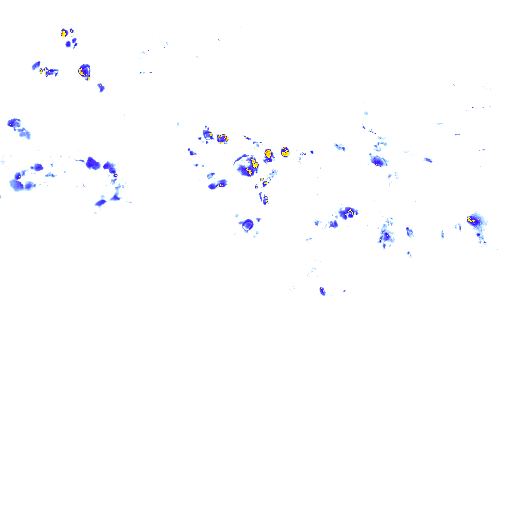 rainLayer