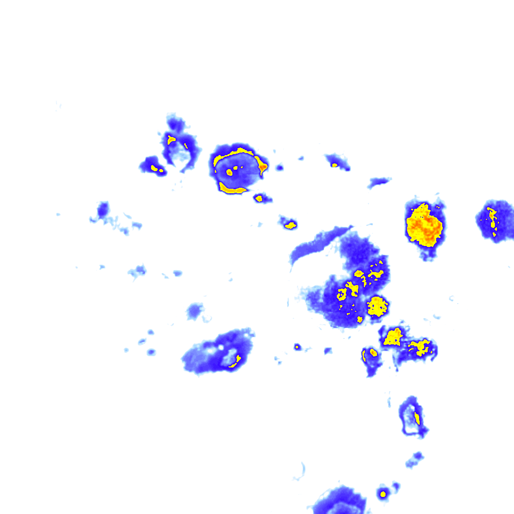 rainLayer