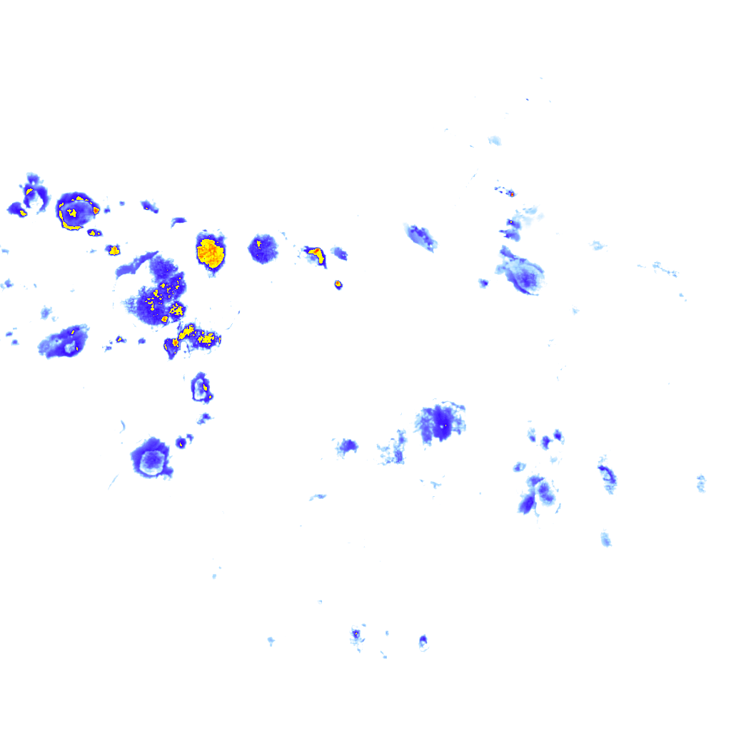 rainLayer