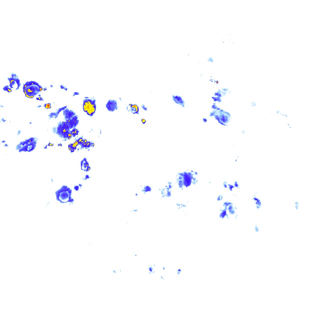 rainLayer