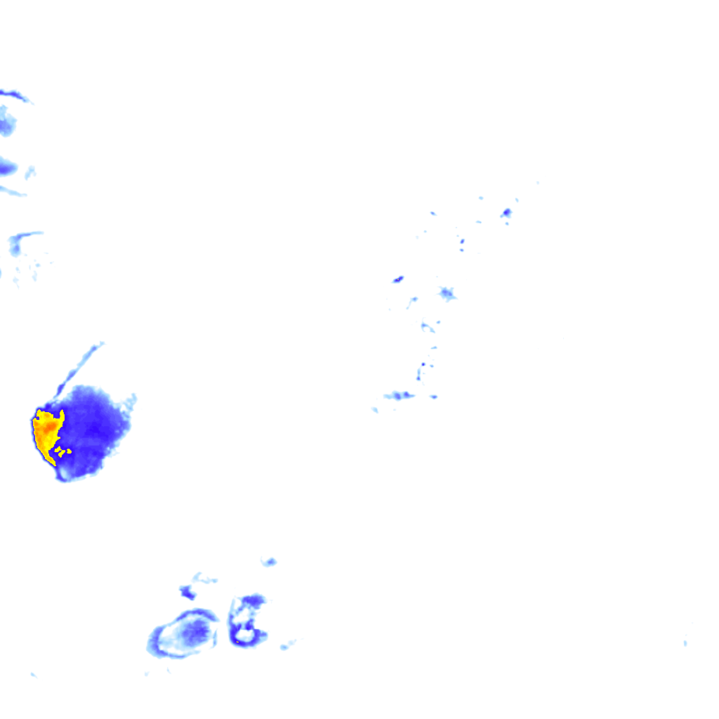 rainLayer