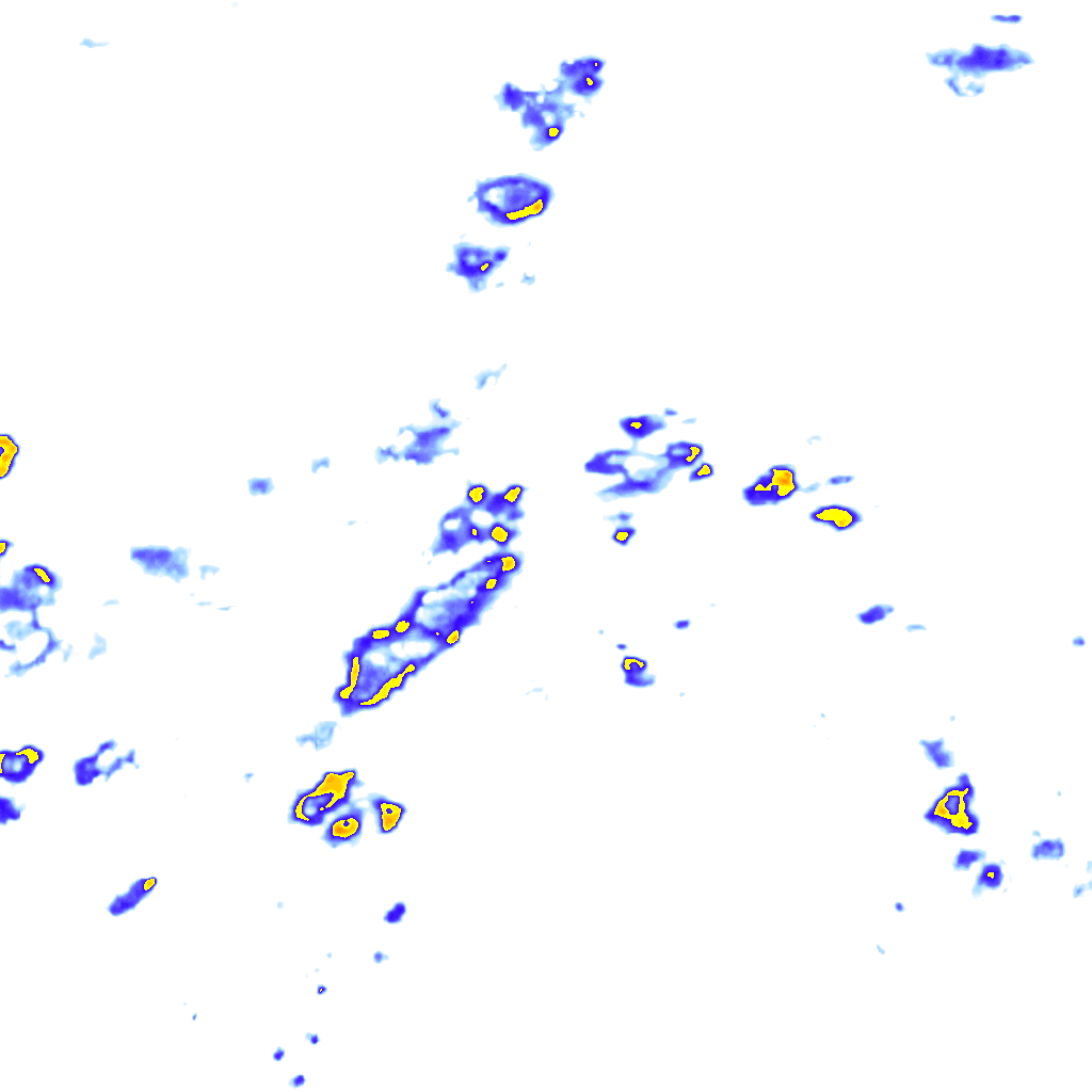 rainLayer