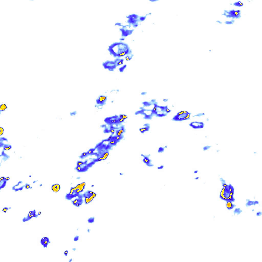 Image Layer