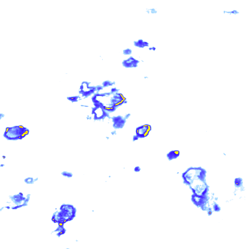 rainLayer