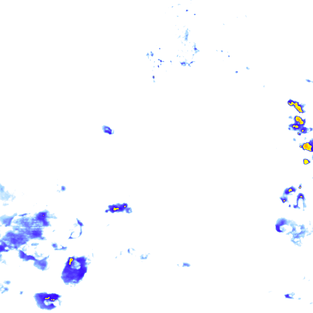 rainLayer