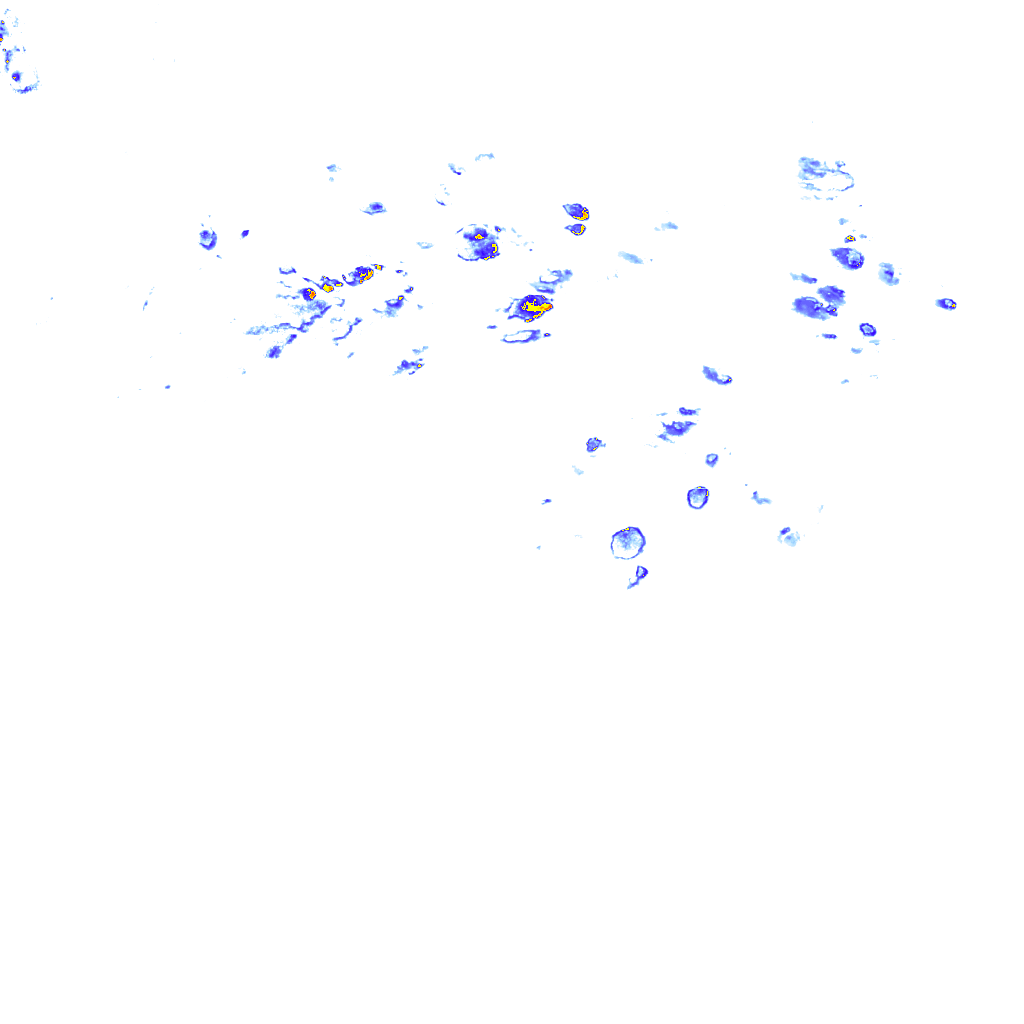 rainLayer