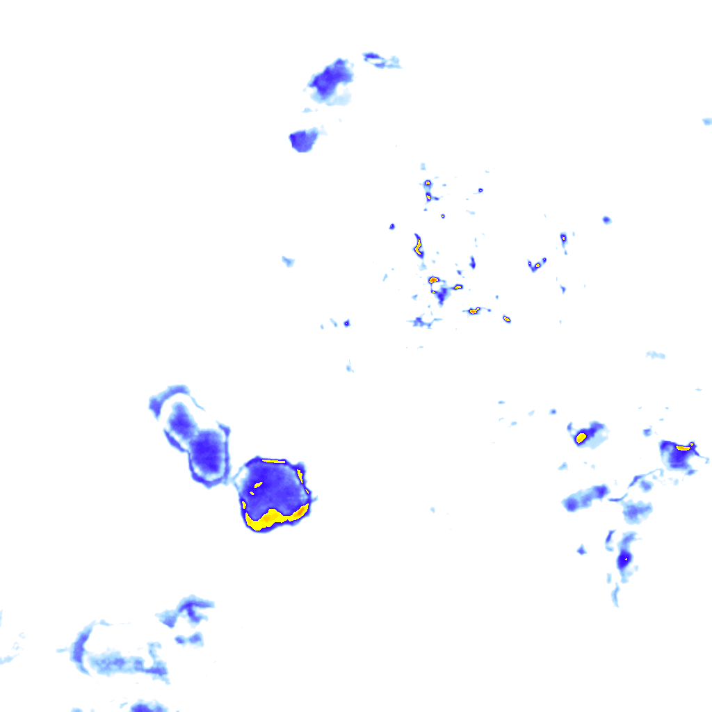 Image Layer
