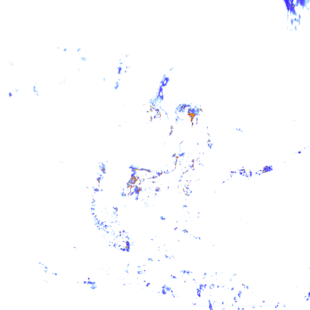 rainLayer
