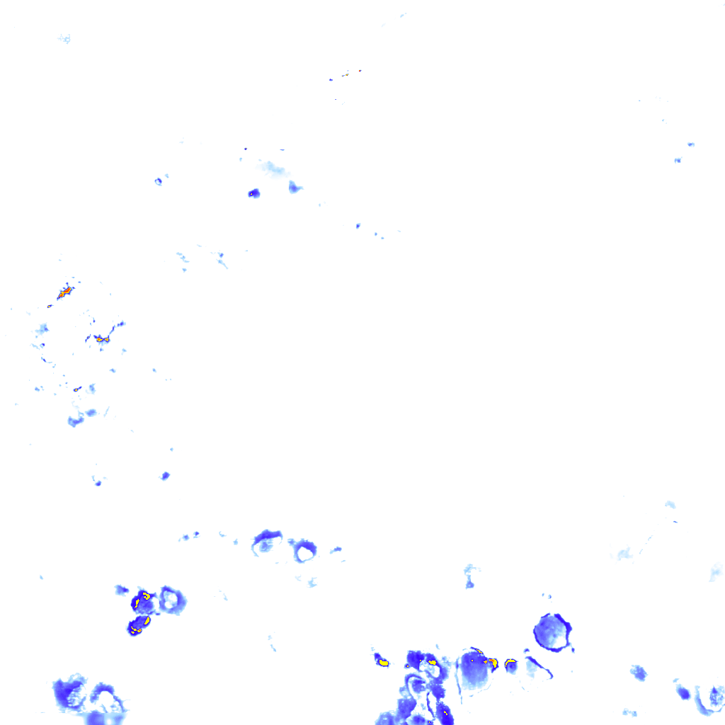 rainLayer