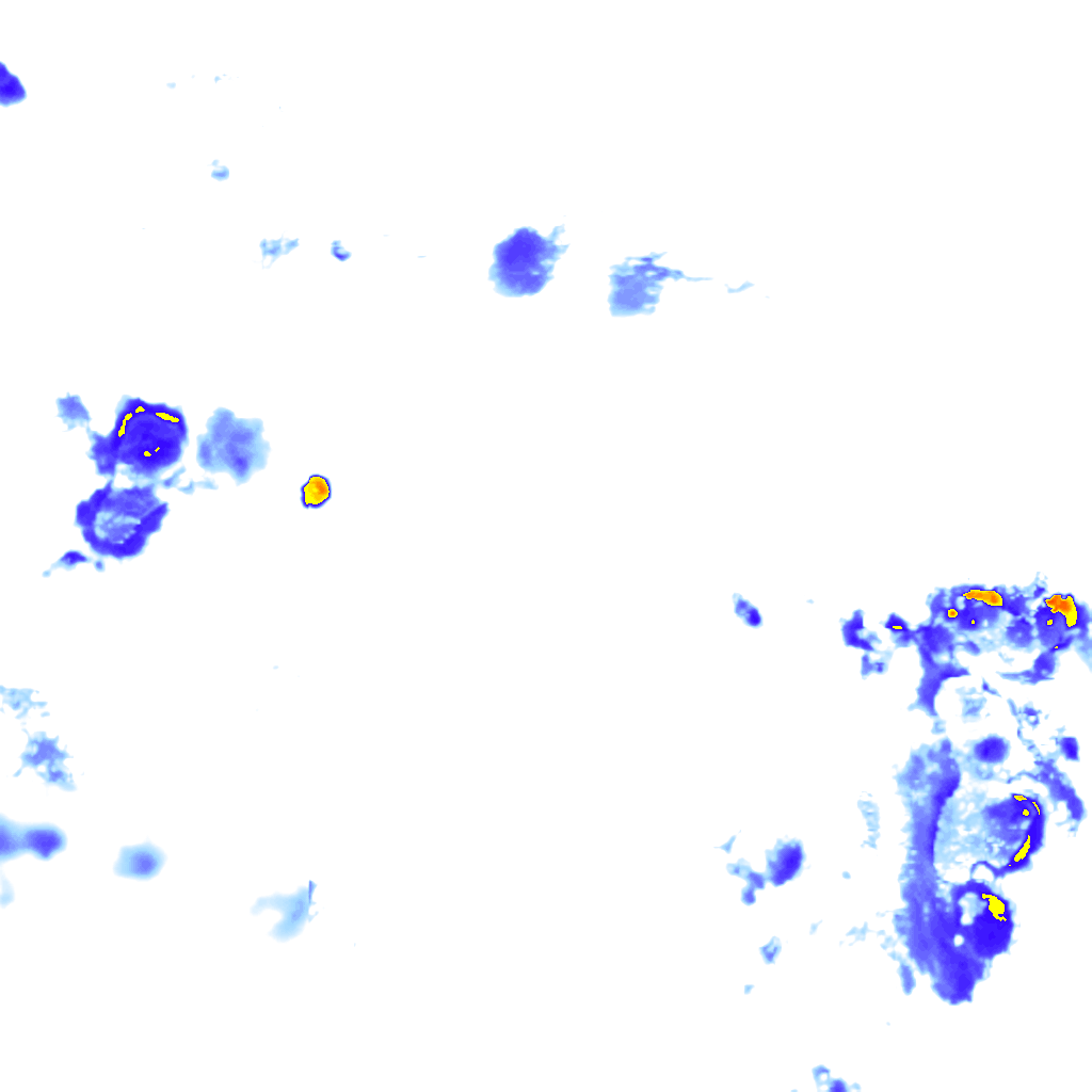 Image Layer
