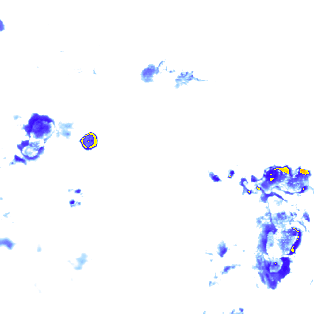 rainLayer